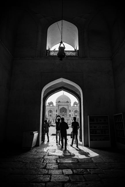 Ақпаратты ұйымдастыру құрылымы